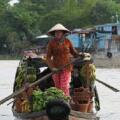 5 bonnes raisons de visiter le Delta du Mékong