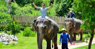 Trek et soins aux éléphants 