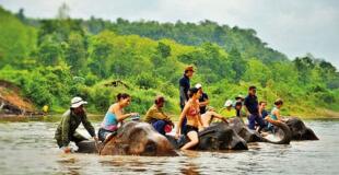 Interaction avec les éléphants à Luang Prabang