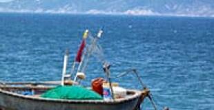 Croisière à Hoi An 