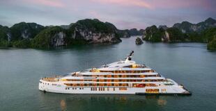 Jonque Grand Pioneers