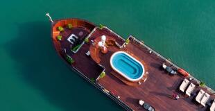 Jonque Orchid Classic