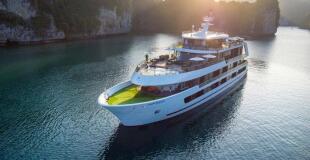 Jonque Stellar of the Sea