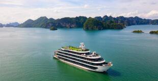 Jonque Velar of the Sea