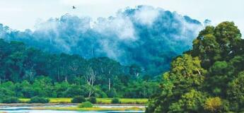 Excursion au parc National de Cat Tien