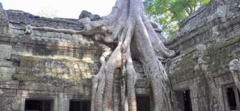 Excursion aux temples d'Angkor