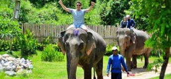 Trek et soins aux éléphants 