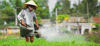 Excursion en jeep au village Tra Que 