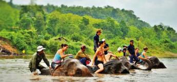 Interaction avec les éléphants à Luang Prabang