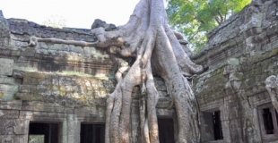 Excursion aux temples d'Angkor