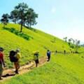 Top 20 des plus belles destinations de trekking au Vietnam à découvrir en 2026