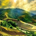 Comment réserver un voyage au Vietnam avec une agence locale ?
