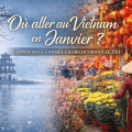 Où aller au Vietnam en janvier ? Guide complet climat et itinéraires