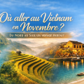 Où aller au Vietnam en novembre ? Guide complet climat et itinéraires