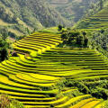 Que faire pour un circuit Nord Vietnam 15 jours ? Le guide complet pour découvrir les plus beaux paysages du Nord