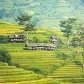 Sapa : Top 15 expériences à vivre au cœur du Nord Vietnam