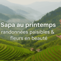 Sapa au printemps : randonnées paisibles & fleurs en beauté