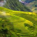 Sapa, au cœur des montagnes du nord du Vietnam