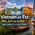 Vietnam en été : mai, juin ou juillet ? Guide complet pour bien choisir