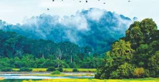 Excursion au parc National de Cat Tien