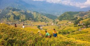 Trek à Sapa avec guide francophone