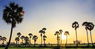 4 jours dans le Delta du Mekong