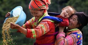 Trek 4 jours à Hoang Su Phi