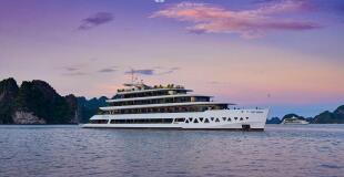 Jonque Elite of the Seas