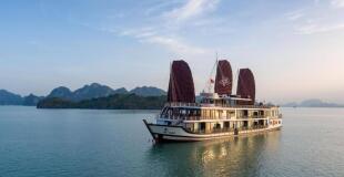 Croisière Orchid Trendy