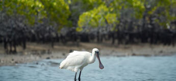 Excursion au parc de Xuan Thuy