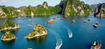 Croisière à Ha Long 1 jour