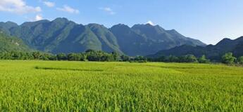 Excursion à Mai Chau