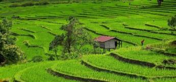 Randonnée à Mae Sapok