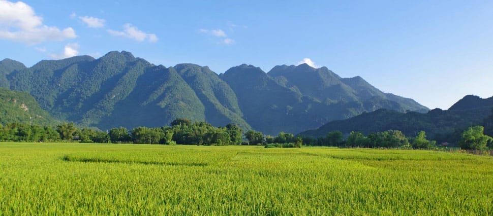 Meilleure période pour visiter Mai Chau