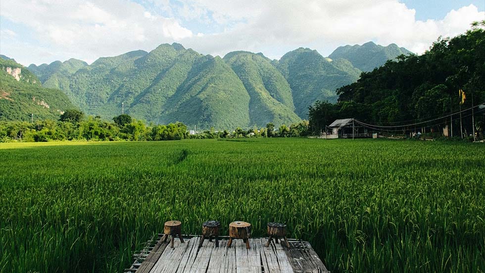 Trekking à Mai Chau 