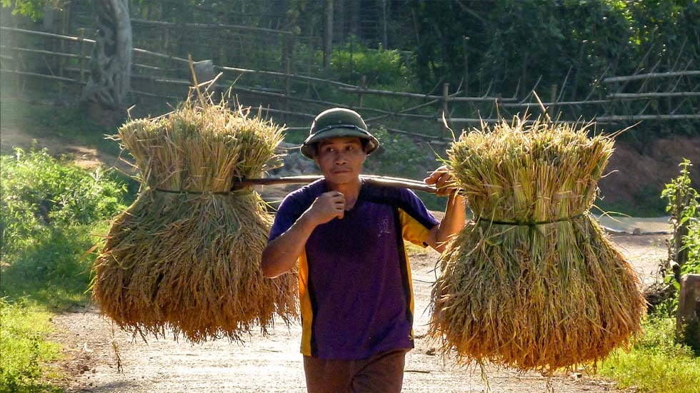 Mai Chau