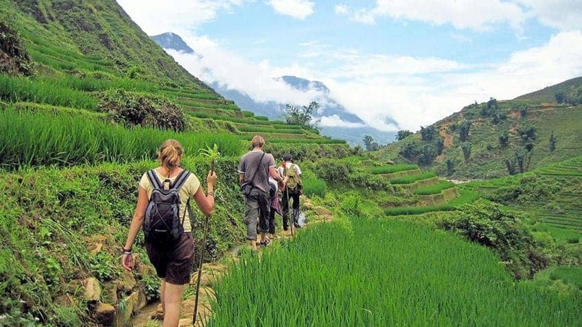 Sapa