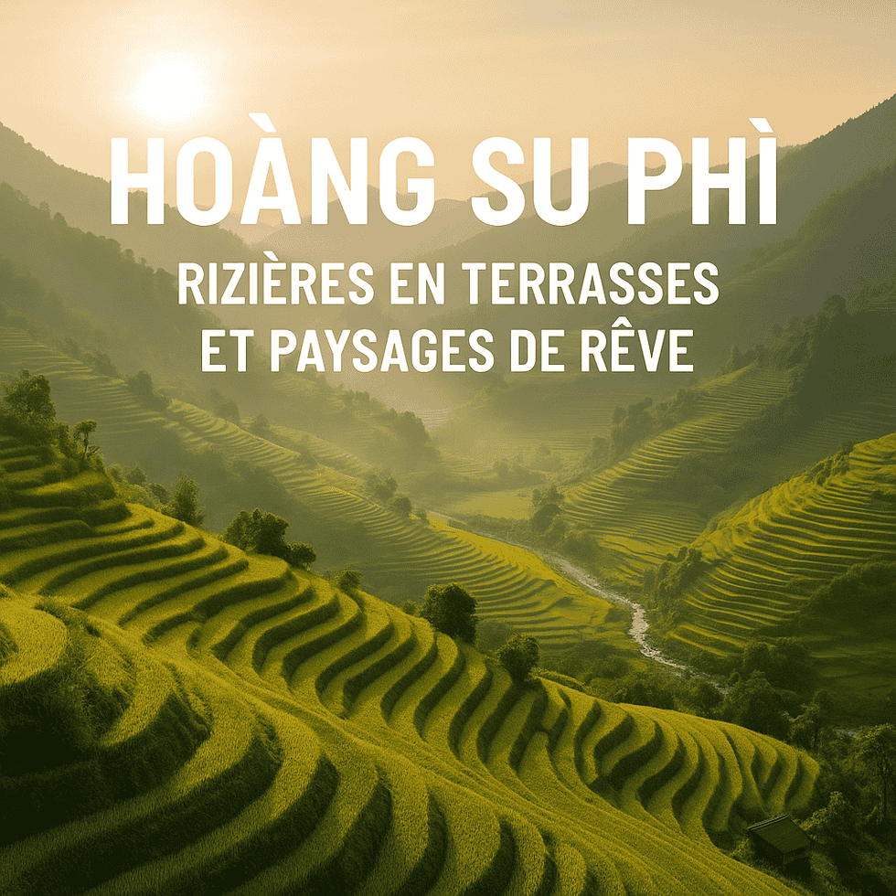 Hoang Su Phi : rizières en terrasses et paysages de rêve