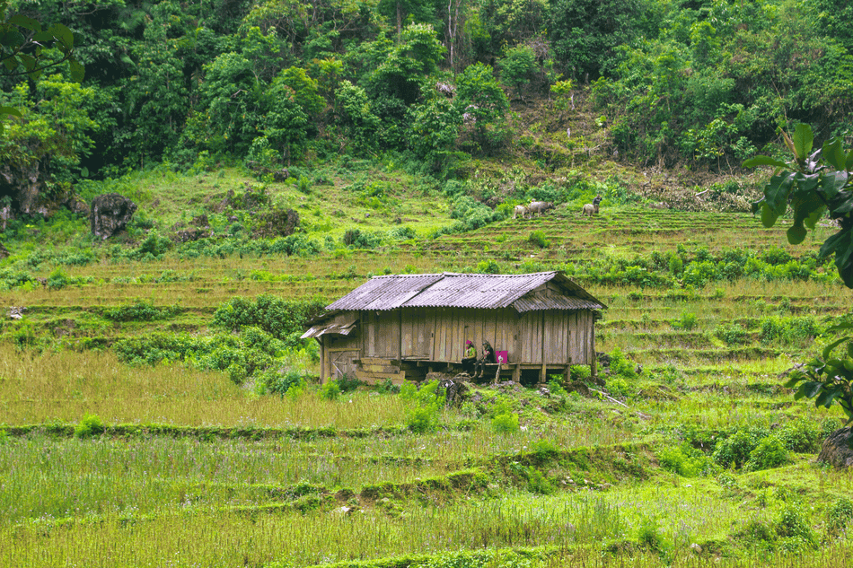 Comment-se-rendre-a-Mai-Chau-depuis-Hanoï 