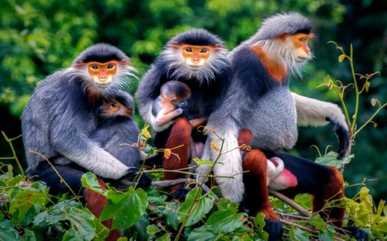 phu-quoc-national-park