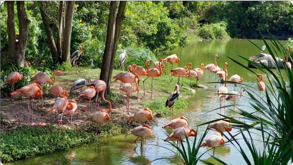 phu-quoc-national-park