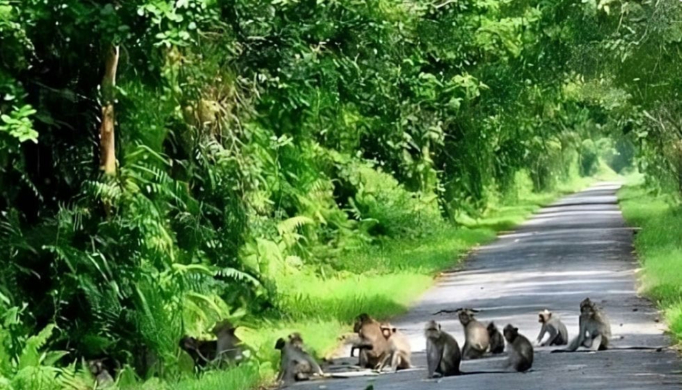 phu-quoc-national-park-