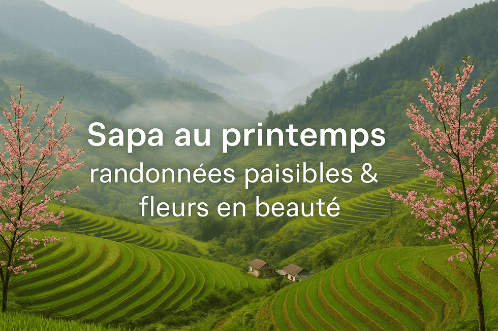 sapa-printemps-paysages-fleurs-randonnees